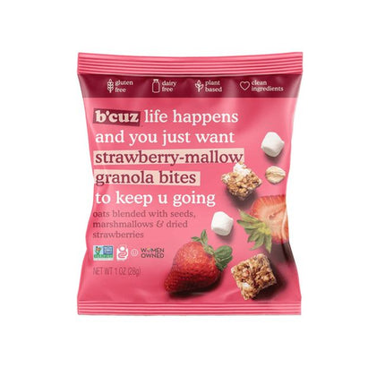 Granola Bites (12 pack of 1oz.) (48 ct)