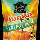 CBD:THC - Pumpkin Spice