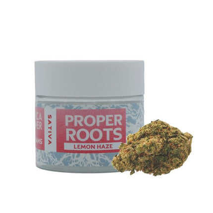 3.5gm THCA Flower Jar Indoor (10 ct)