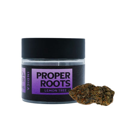 3.5gm THCA Flower Jar Premium (10 ct)