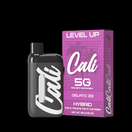 Level Up 5G Disposable Vape (6 ct)