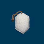 Scrub Sponge