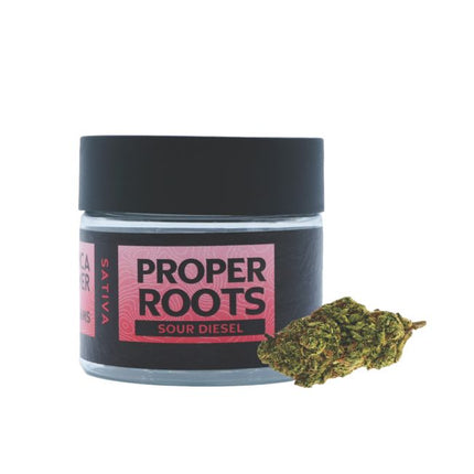 3.5gm THCA Flower Jar Premium (10 ct)