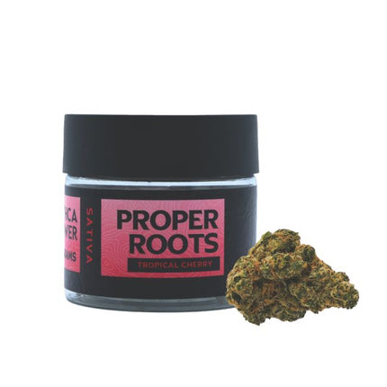 3.5gm THCA Flower Jar Premium (10 ct)