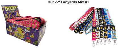 Displays and Shippers (1 ct)