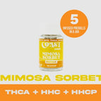 Mimosa Sorbet