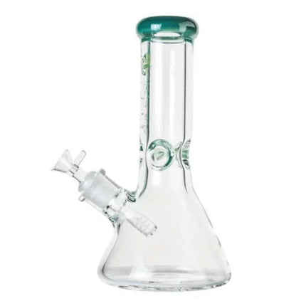 Straight Beaker (1 ct)