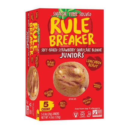 Rule Breaker Snacks - Vegan & 11 Allergen-Free Snacks (6 ct)