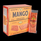 Fruit Bar: Mango 18-Pack
